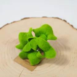 Damska broszka filcowa kwiat Zielony