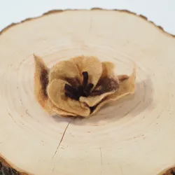 Broszka filcowa beżowy kwiat Japoński