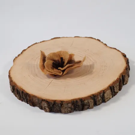 Broszka filcowa beżowy kwiat Japoński