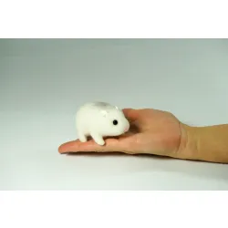 Chomik biały z wełny, maskotka dla dzieci i dorosłych